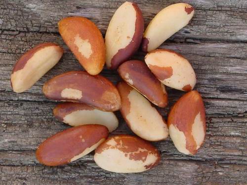 Top 10 Phosphorus Rich Foods For Children